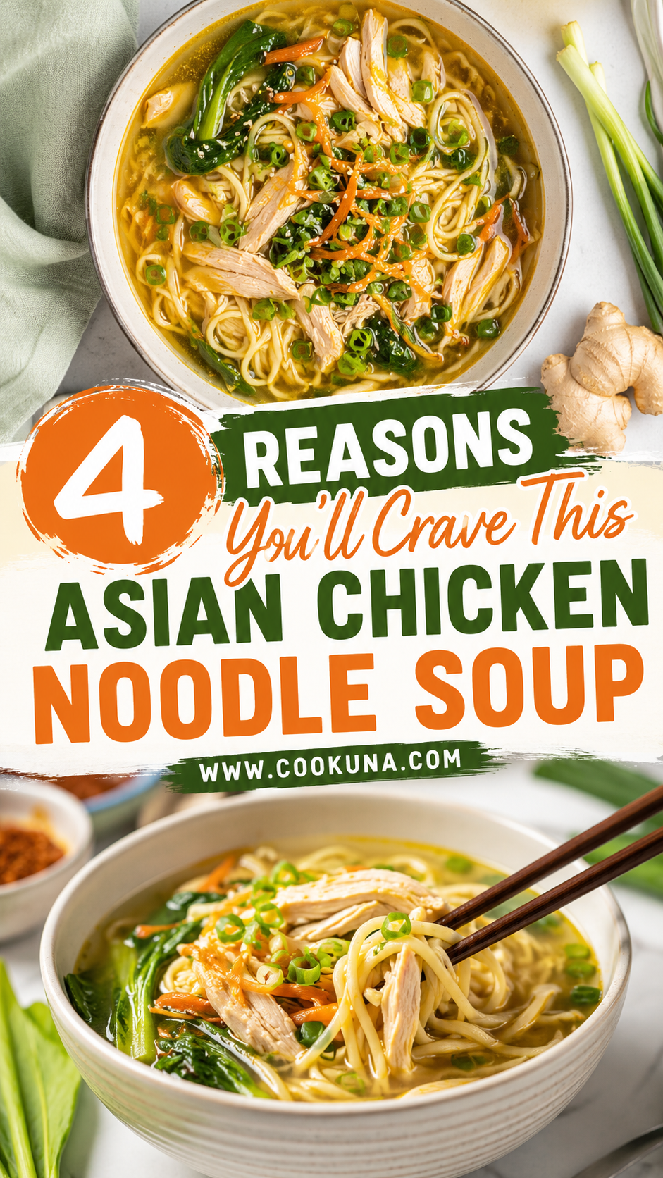 Asian Chicken Noodle Soup