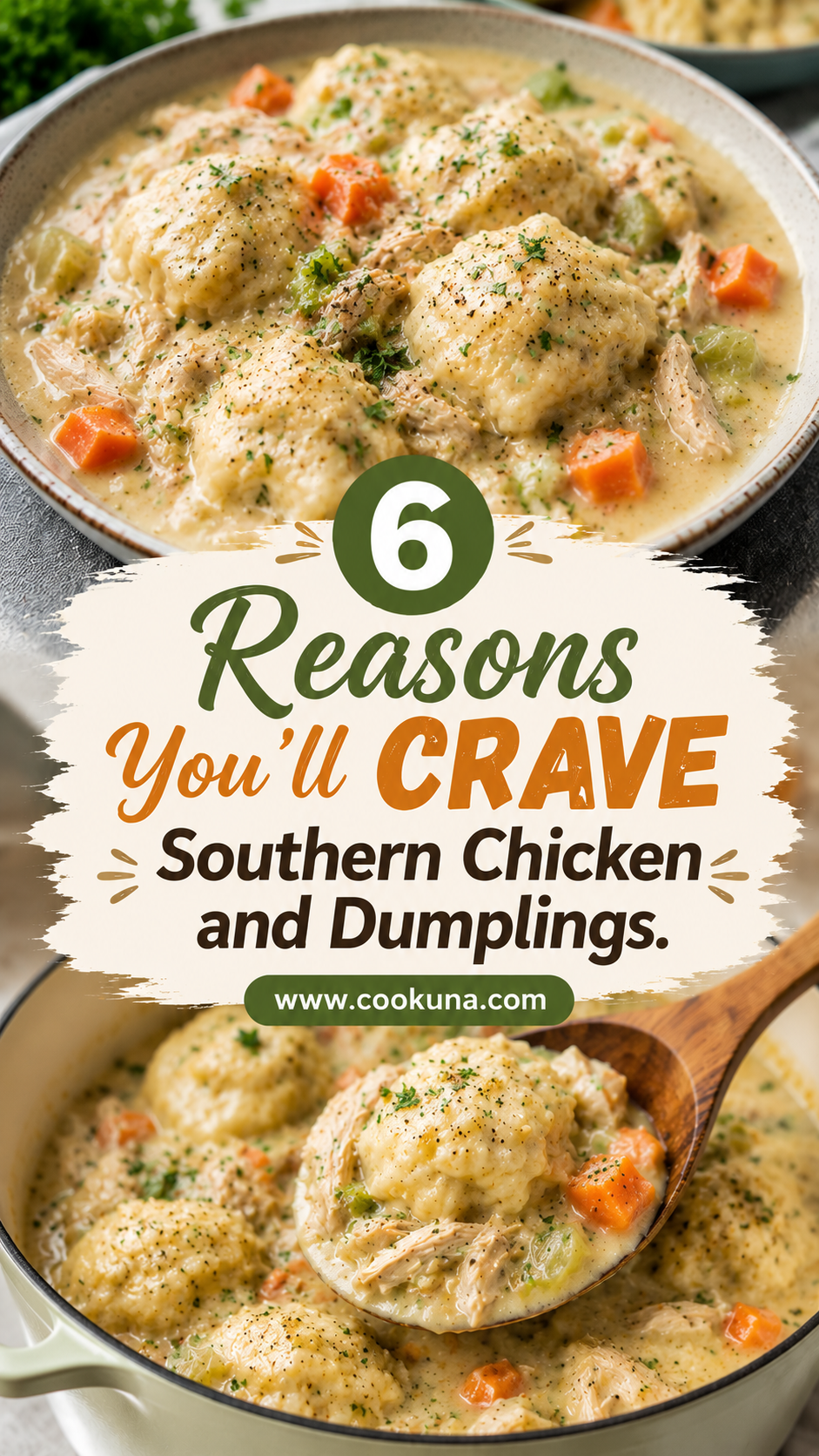 Southern Chicken and Dumplings