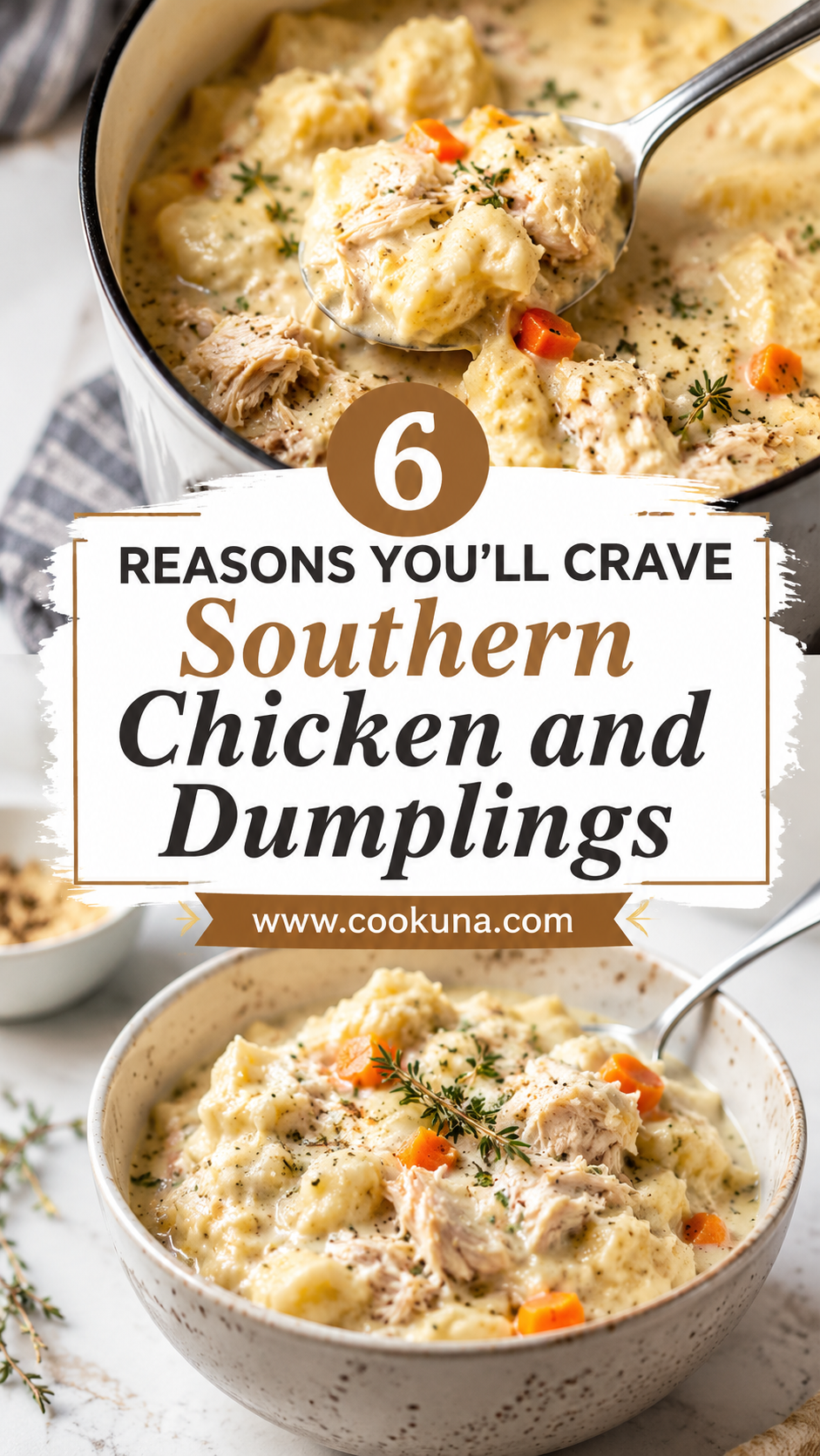 Southern Chicken and Dumplings