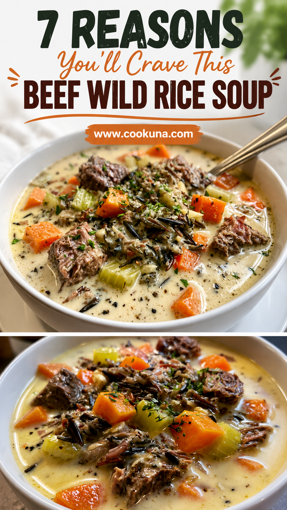 Creamy Crockpot Beef Wild Rice Soup