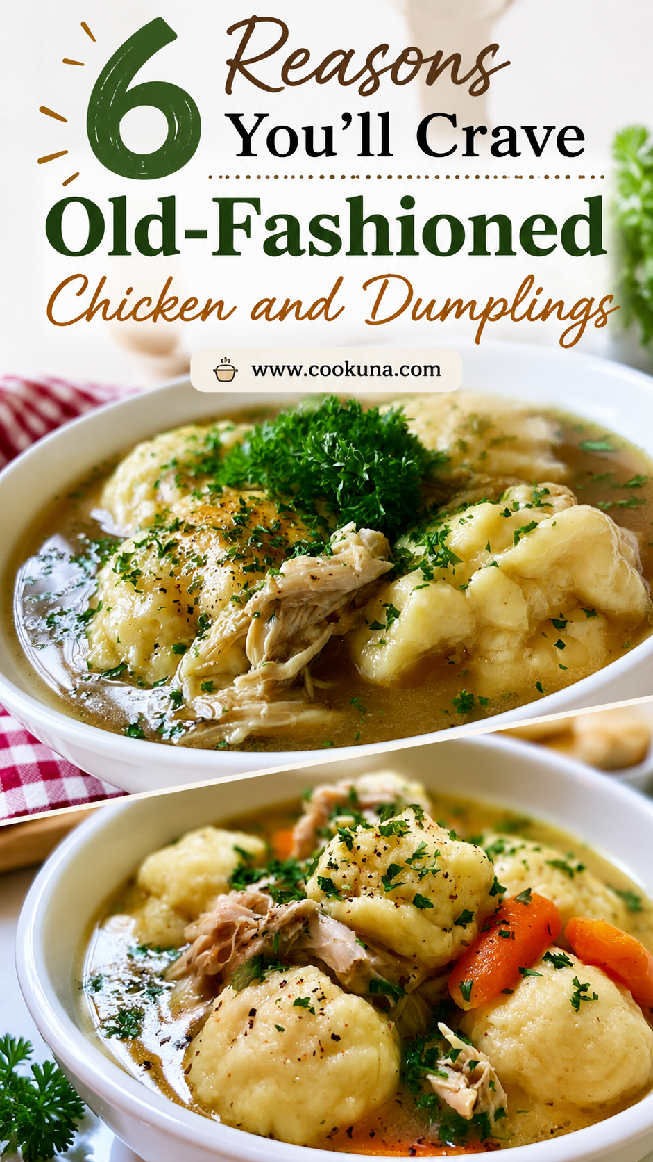 Old-Fashioned Chicken and Dumplings