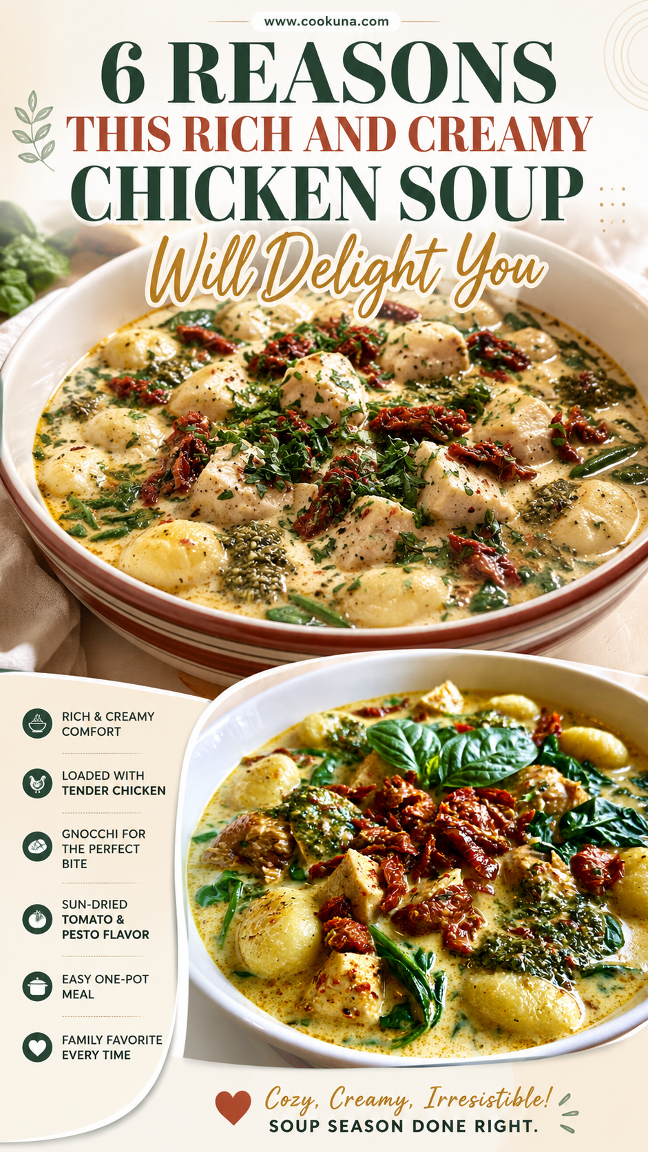 Rich and Creamy Chicken Soup