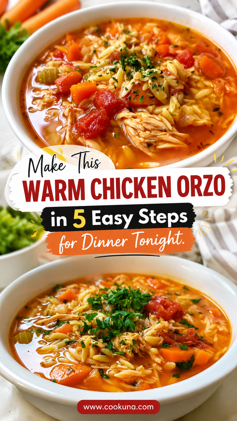 warm chicken orzo soup
