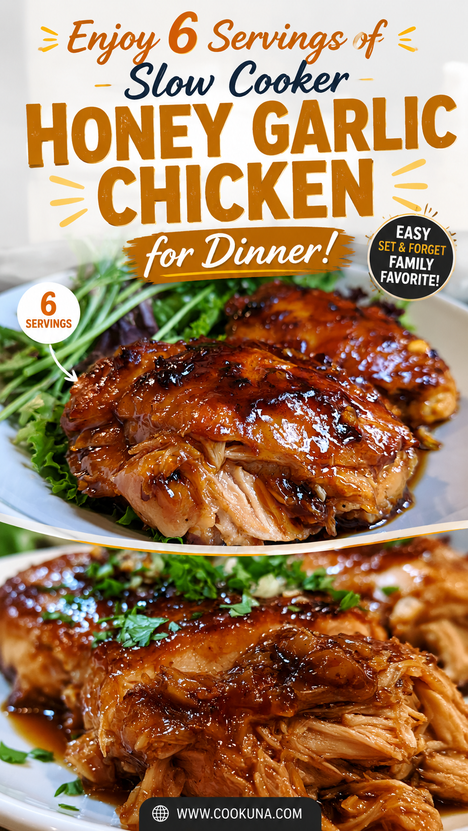 slow cooker honey garlic chicken